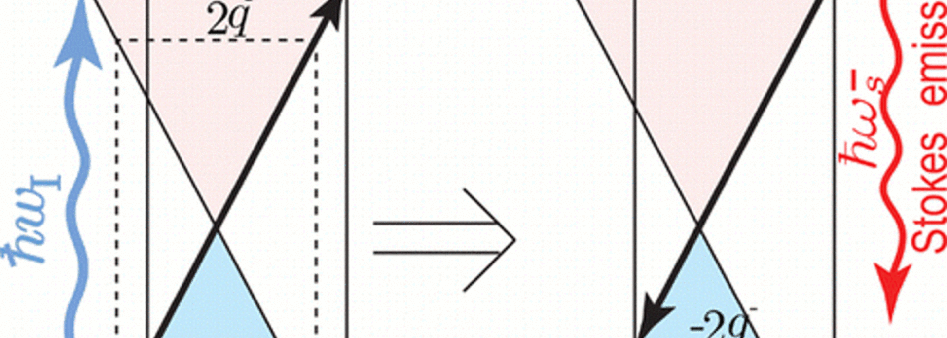 nn2.gif